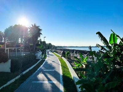 Camino costero soleado con palmeras y plantas al lado del mar azul y cielo despejado.