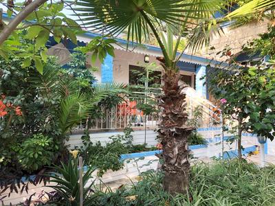 Balcone di un hotel con facciata blu circondato da rigogliosa vegetazione tropicale e palme.