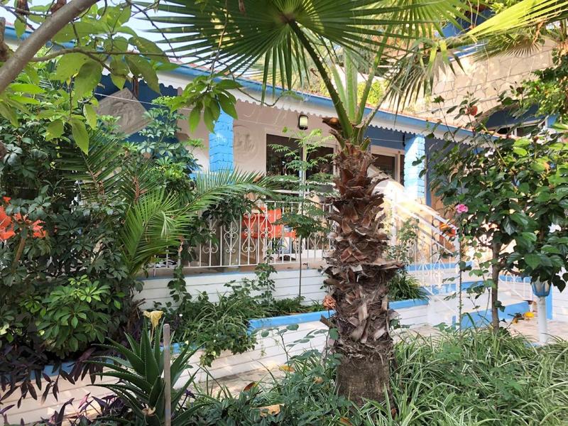 Balcone di un hotel con facciata blu circondato da rigogliosa vegetazione tropicale e palme.