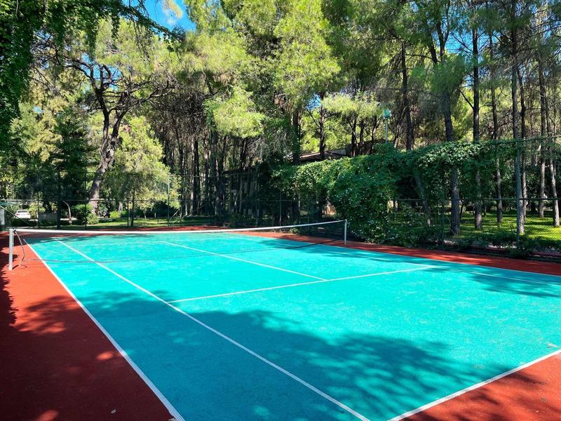Tennis court surrounded by green trees in an outdoor wooded area.