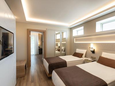 Moderne hotelkamer met twee eenpersoonsbedden, tv en grote spiegel.