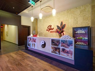 Réception d'un spa avec un comptoir décoratif et une ambiance détendue.