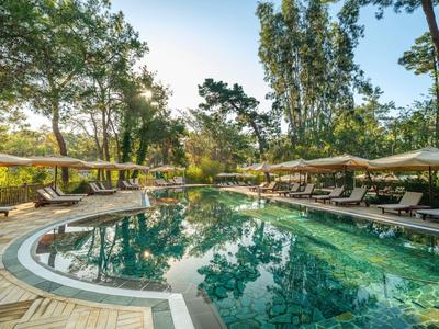 Beheizter Außenpool umgeben von Liegestühlen und Bäumen unter klarem Himmel.