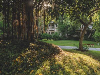 Ein sonniger Gartenbereich mit Bäumen und einer Bank vor einem Haus.