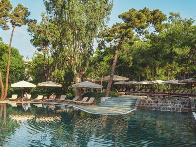 Ruhiger Poolbereich mit Sonnenliegen und grüner Umgebung an einem sonnigen Tag.