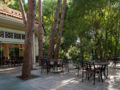 Terrasse d'hôtel avec tables et chaises sous des arbres dans un jardin calme.