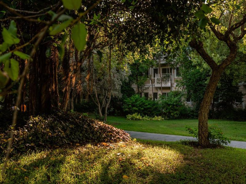 Sonniger Garten mit Bäumen, Gras und einem Weg vor einem Gebäude im Hintergrund.