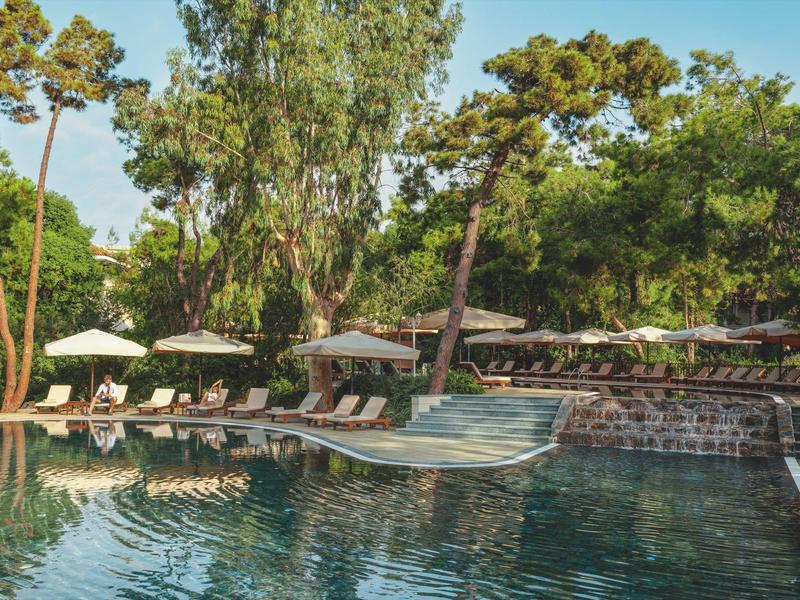 Schwimmbad mit Liegestühlen und Sonnenschirmen vor Waldkulisse bei klarem Wetter