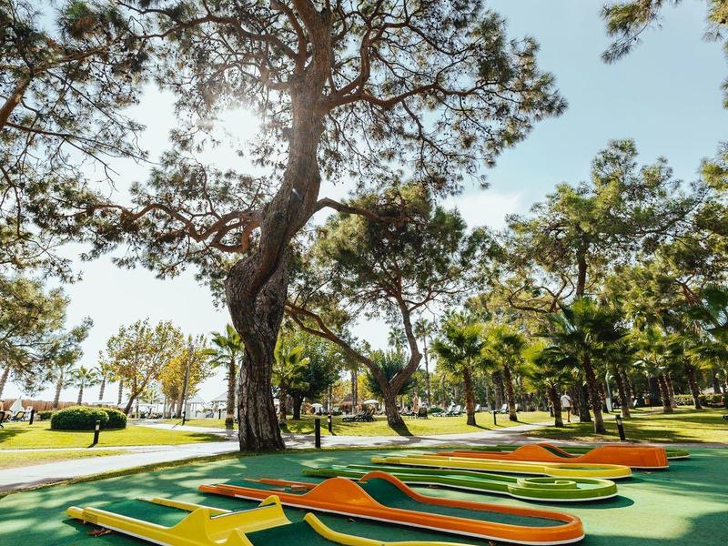Mini golf course with colorful lanes and large trees on a sunny day.