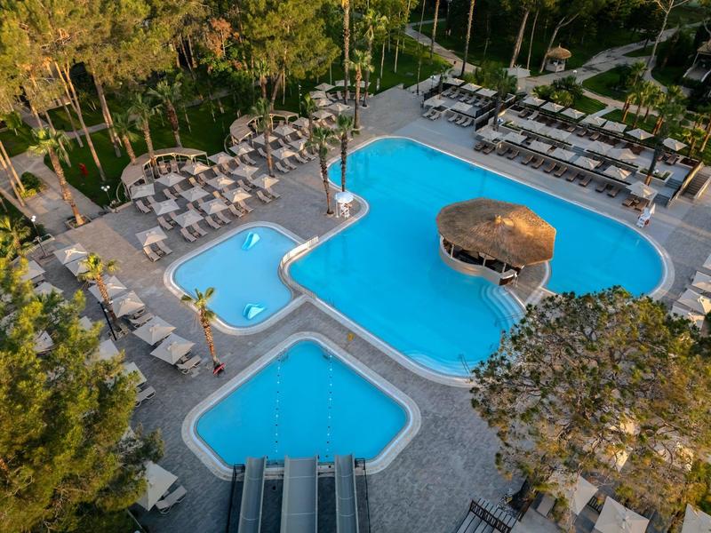 Hotel pool with three connected sections surrounded by lounge chairs and trees.