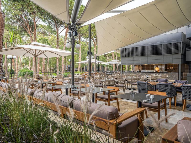 Hotel outdoor area with comfortable seating under large umbrellas and surrounding trees.