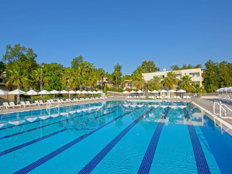 Large outdoor pool with sun loungers and green trees under a clear blue sky.