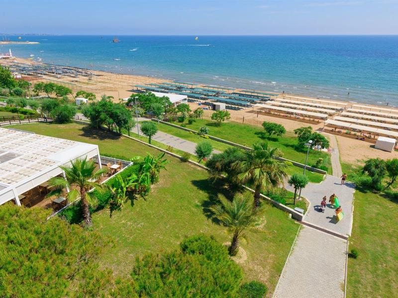 View of a well-maintained beach park with palm trees and a sandy beach by the sea.