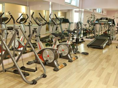 Fitnessraum mit mehreren Trainingsgeräten, Spiegelwand und hellem Holzboden.