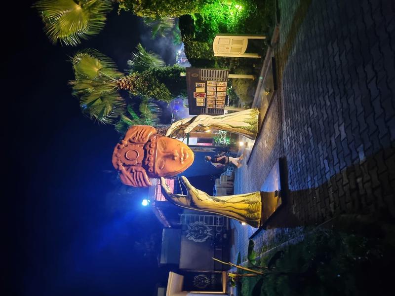 Una estatua iluminada en un jardín tropical por la noche con palmeras y caminos.