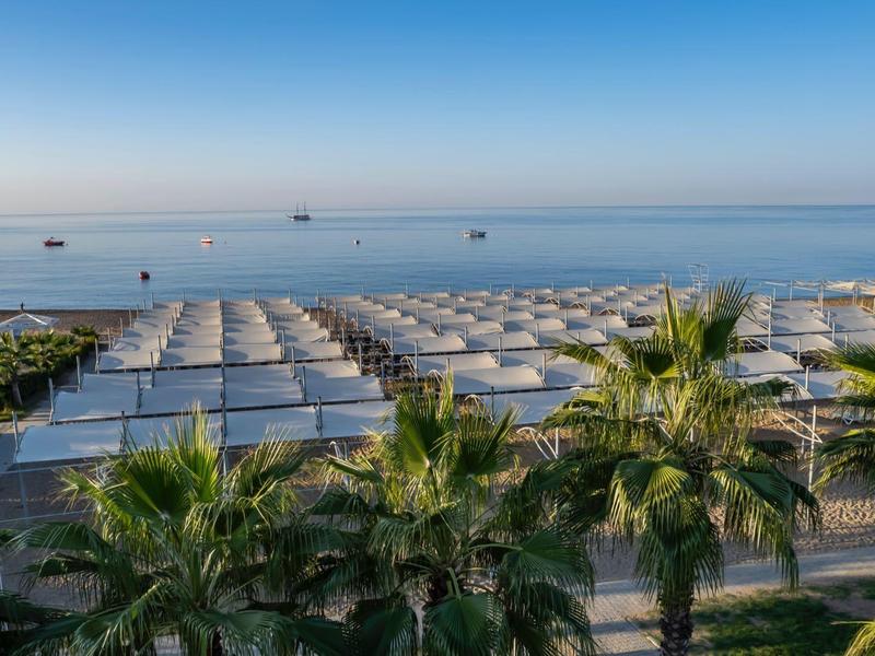 Playa con sombrillas y palmeras bajo un cielo azul claro junto al mar