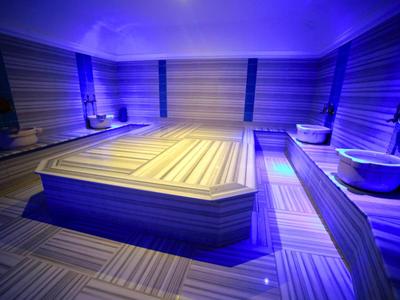 Modern verlichte ontspanningsruimte in een sauna met houten bekleding en een centrale ligplaats.