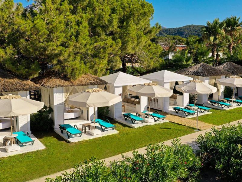 Filas de tumbonas con sombrillas junto a pequeñas cabañas blancas en un entorno tropical.