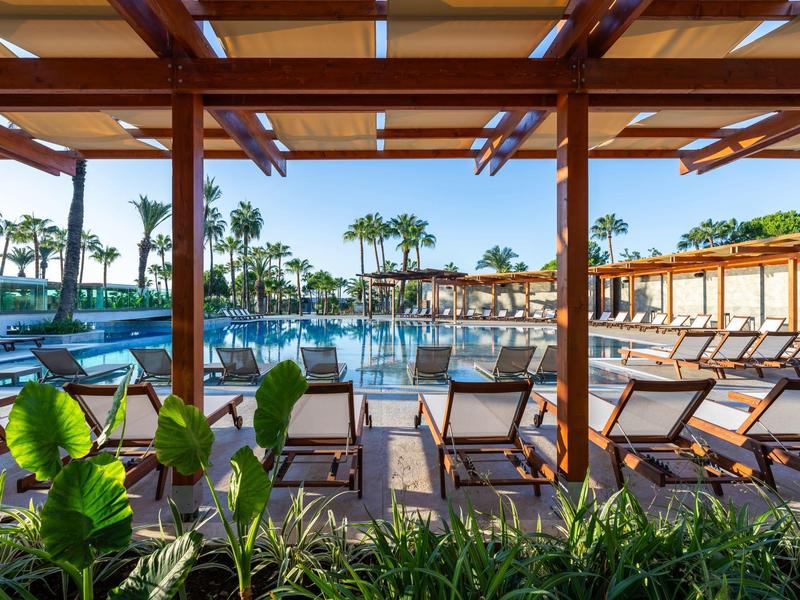 Área de piscina con tumbonas y palmeras bajo un toldo y cielo despejado.