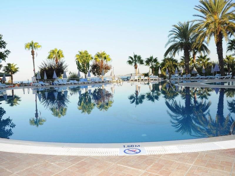 Large calm pool with palm trees and lounge chairs under clear sky.