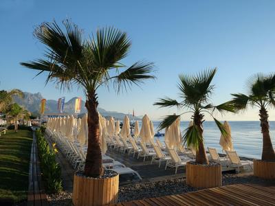 Strand mit Palmen, Liegestühlen und Sonnenschirmen bei klarem Himmel und Bergkulisse.