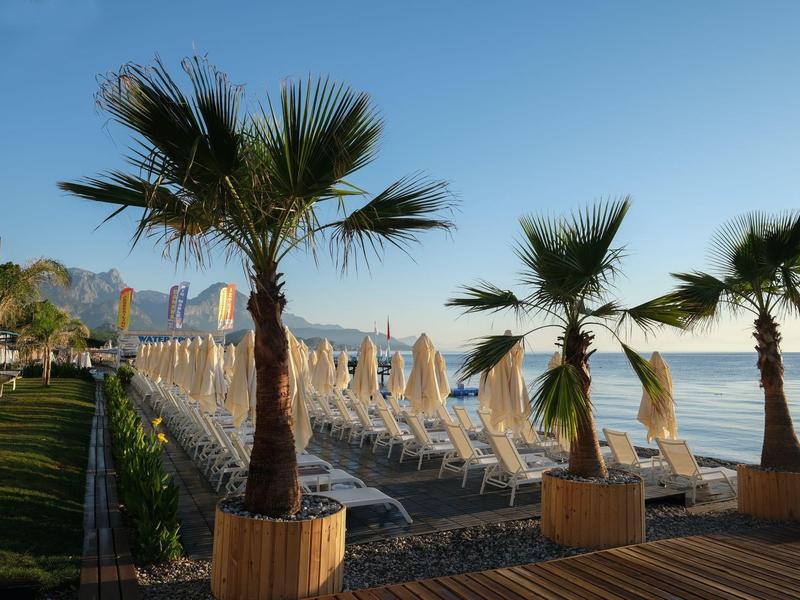 Strand mit Palmen, Liegestühlen und Sonnenschirmen bei klarem Himmel und Bergkulisse.