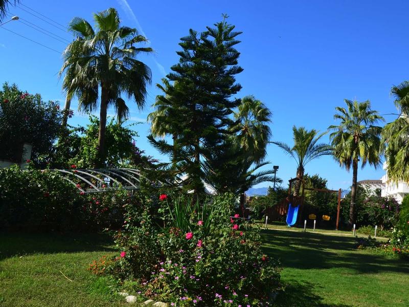 Grüner Garten mit Palmen, blühenden Sträuchern und klarem blauem Himmel im Hintergrund.