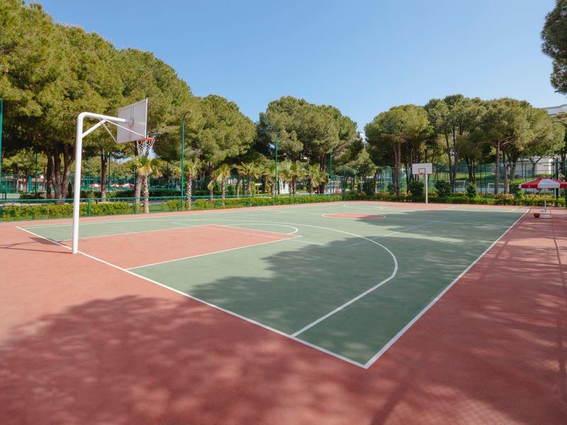 Cancha de baloncesto al aire libre rodeada de árboles bajo un cielo azul despejado.