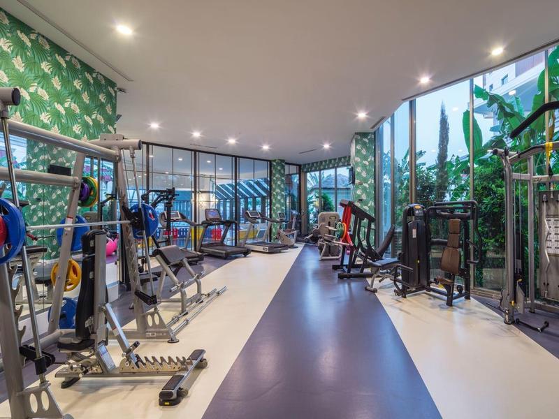 Gimnasio bien iluminado con varios equipos de entrenamiento y grandes ventanas con vista a plantas verdes.