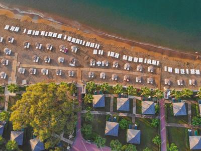 Letecký pohled na pláž s slunečníky a lehátky, přilehlé malé budovy a stromy.