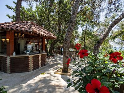 Outdoor hotel bar overlooking the sea with flowers in the foreground.
