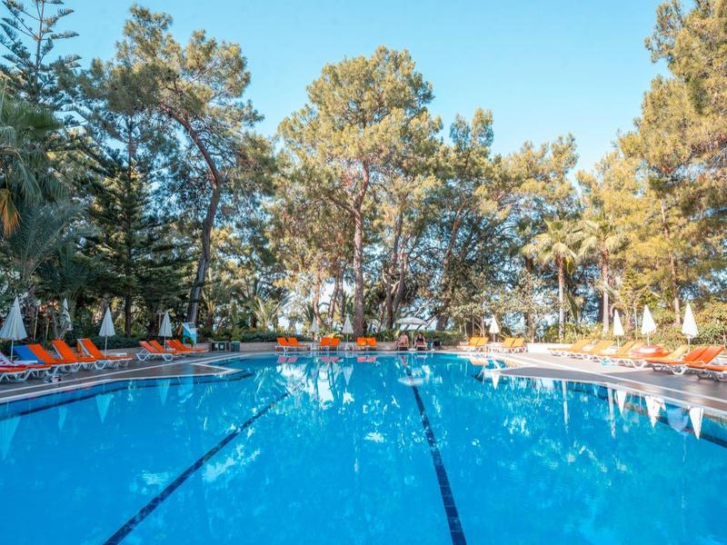 Large outdoor pool with many lounge chairs surrounded by trees under a clear sky.