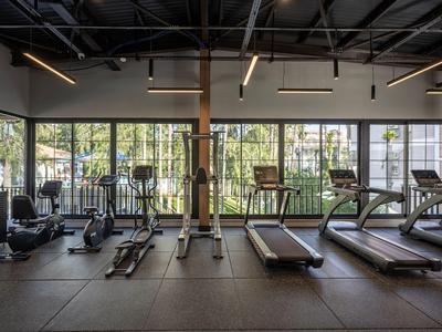 Gimnasio moderno con cintas de correr y equipo, grandes ventanas con vista a la vegetación.