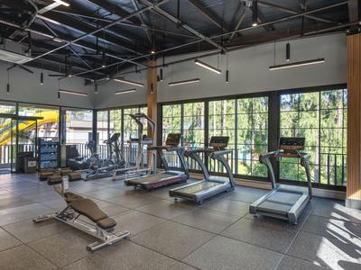 Gimnasio moderno con cintas de correr y grandes ventanas con vistas a la vegetación.