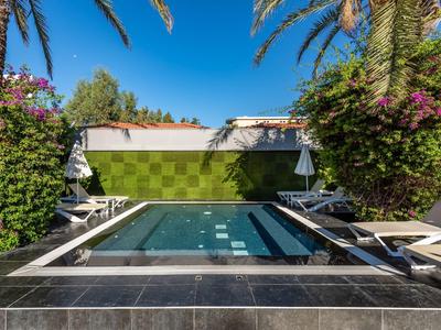 Small modern pool surrounded by lounge chairs and plants under a blue sky.
