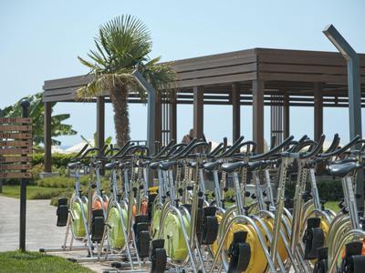 Several stationary bicycles are lined up in front of a pavilion with palm trees.