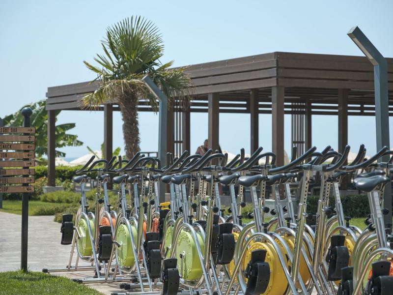 Row of stationary bikes outdoors in front of wooden pergola and palm trees.