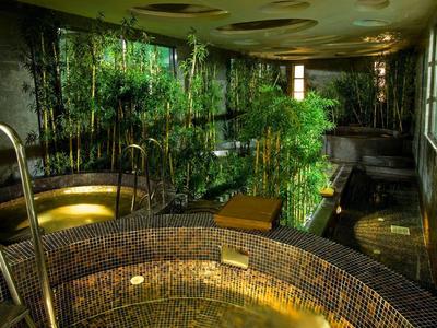 Innenaufnahme eines Spa-Bereichs mit Whirlpool und grünen Pflanzen