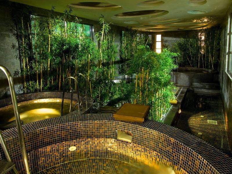 Innenaufnahme eines Spa-Bereichs mit Whirlpool und grünen Pflanzen