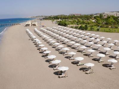 Ampia spiaggia sabbiosa con file di ombrelloni bianchi e lettini sul mare.