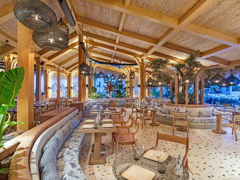 Restaurante moderno y luminoso con techo de madera, grandes plantas y áreas de asientos diversas.