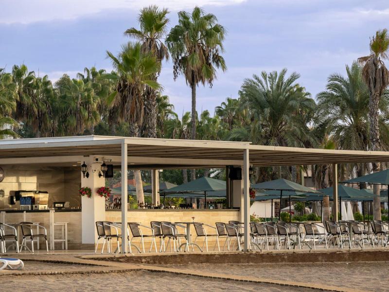 Bar de plage moderne avec chaises, ombrelles vertes et palmiers en arrière-plan.