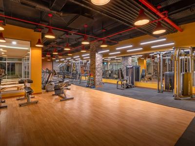 Gimnasio moderno con mancuernas, máquinas de entrenamiento y suelo de madera en zona fitness hotelera.