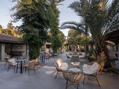 Vkusně zařízená venkovní terasa se židlemi a stoly pod palmami a stromy.