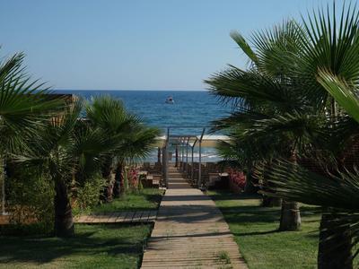 Un sentiero lastricato attraversa palme verdi verso il mare sotto un cielo azzurro limpido.