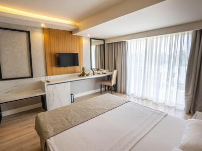 Modern hotel room with large bed, desk, TV, and floor-to-ceiling window with curtains.