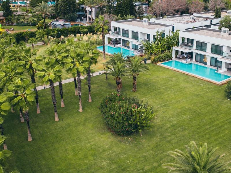 Moderne weiße Villa mit großen Fenstern und Pool, umgeben von grünen Bäumen und gepflegtem Rasen.