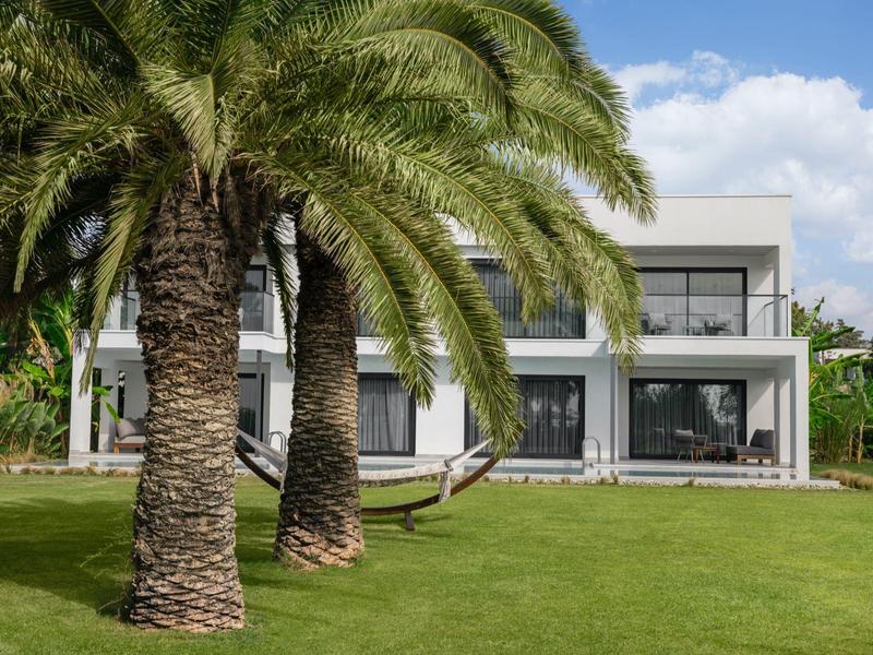 Modernes weißes Haus mit großen Fenstern und einer grünen Wiese mit Palmen im Vordergrund.