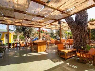 Offener Sitzbereich mit Holzmöbeln und einem großen Baum unter einem transparenten Holzdach.