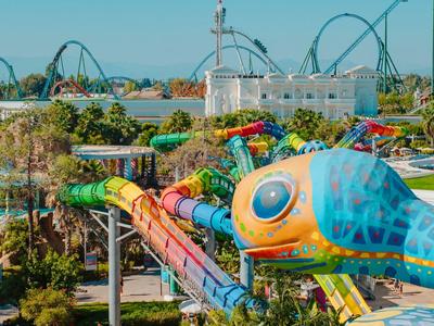 Kleurrijk waterpark met kameleonavondwaterglijbanen en achtbanen op de achtergrond